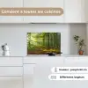 Zon - Bos - Bomen - Natuur - Herfst keuken achterwand spatscherm klein -sfeer4_FR