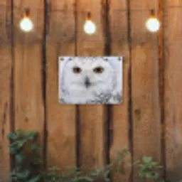 Sneeuwuil - Oog - Wildlife - Wit tuinposter los doek klein -sfeer1