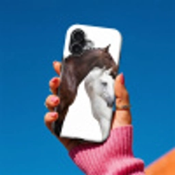 Paard - Modern - Balans Toughcase MagSafe Apple iPhone 17 klein -Sfeer1V