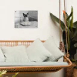 Kat - Siamees - Zwart Wit - Schattig - Dieren tuinposter los doek klein -sfeer7