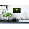 Wit - Madeliefje - Bloem - Gras Muursticker klein -keuken