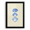 Schelpen - Blauw - Beige fotolijst zwart zonder passe partout klein -3d