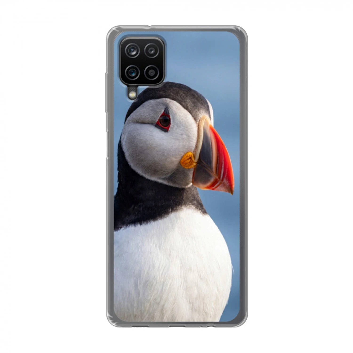Papegaaiduiker - Portret - Natuur Telefoonhoesje Samsung Galaxy A12 klein -3d
