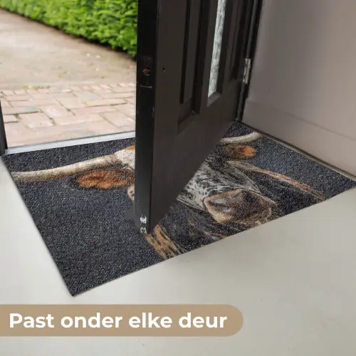 Stier - Kleurrijk - Hoorns Deurmat klein -USP_NL