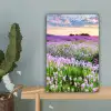 Bloemen - Lavendel - Paars - Lucht - Zonsondergang - Weide - Natuur canvas 2cm klein -sfeer4