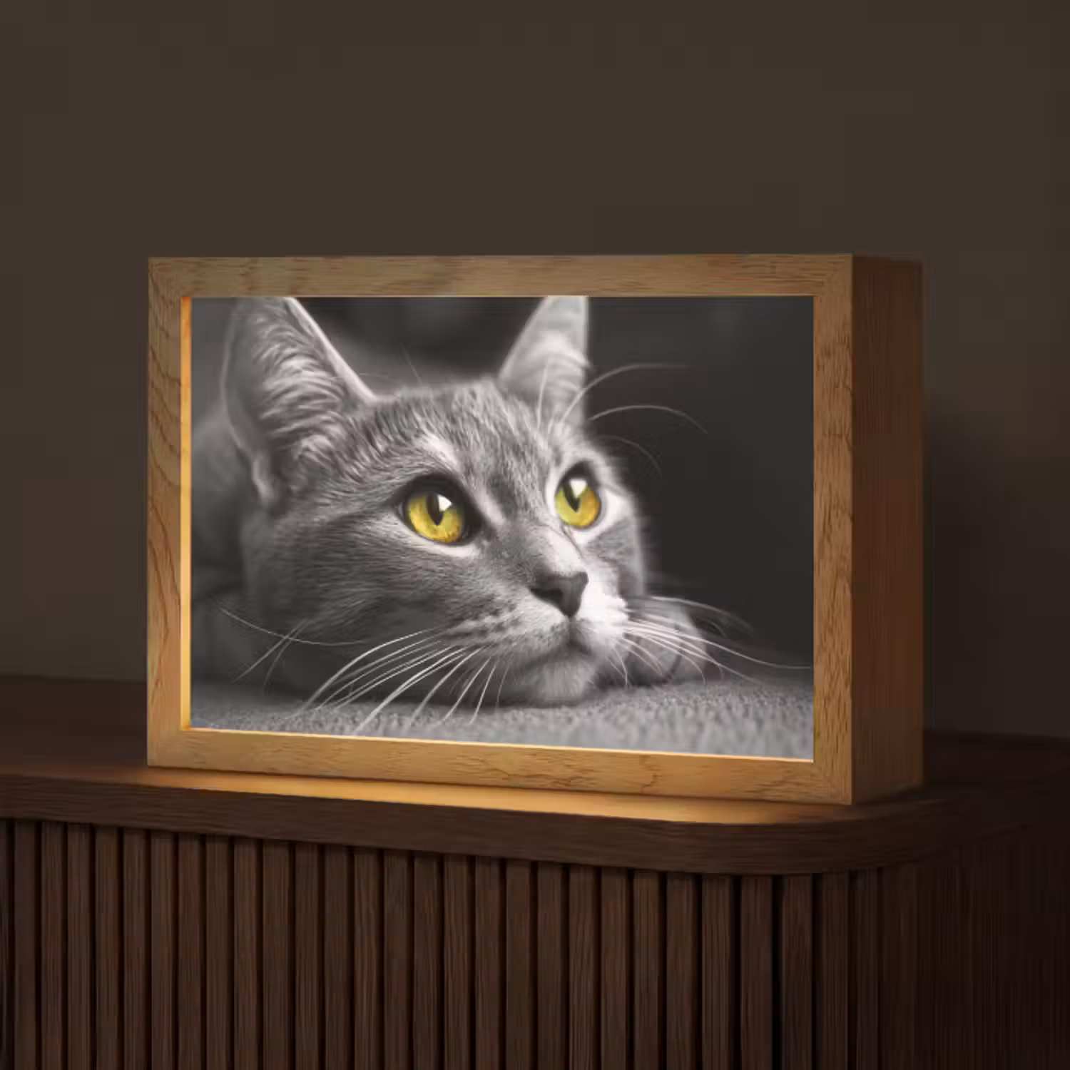 Tischlampe - Katze - Schwarz - Weiß - Tiere - Natur
