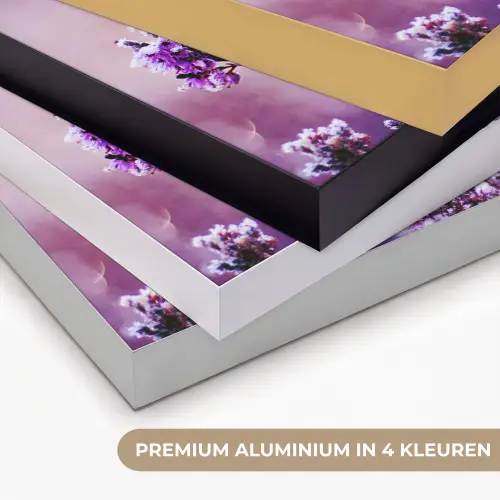 Lavendel - Winter - Bloemen - Paars Textielframe zwart klein -USP_kleurenNL
