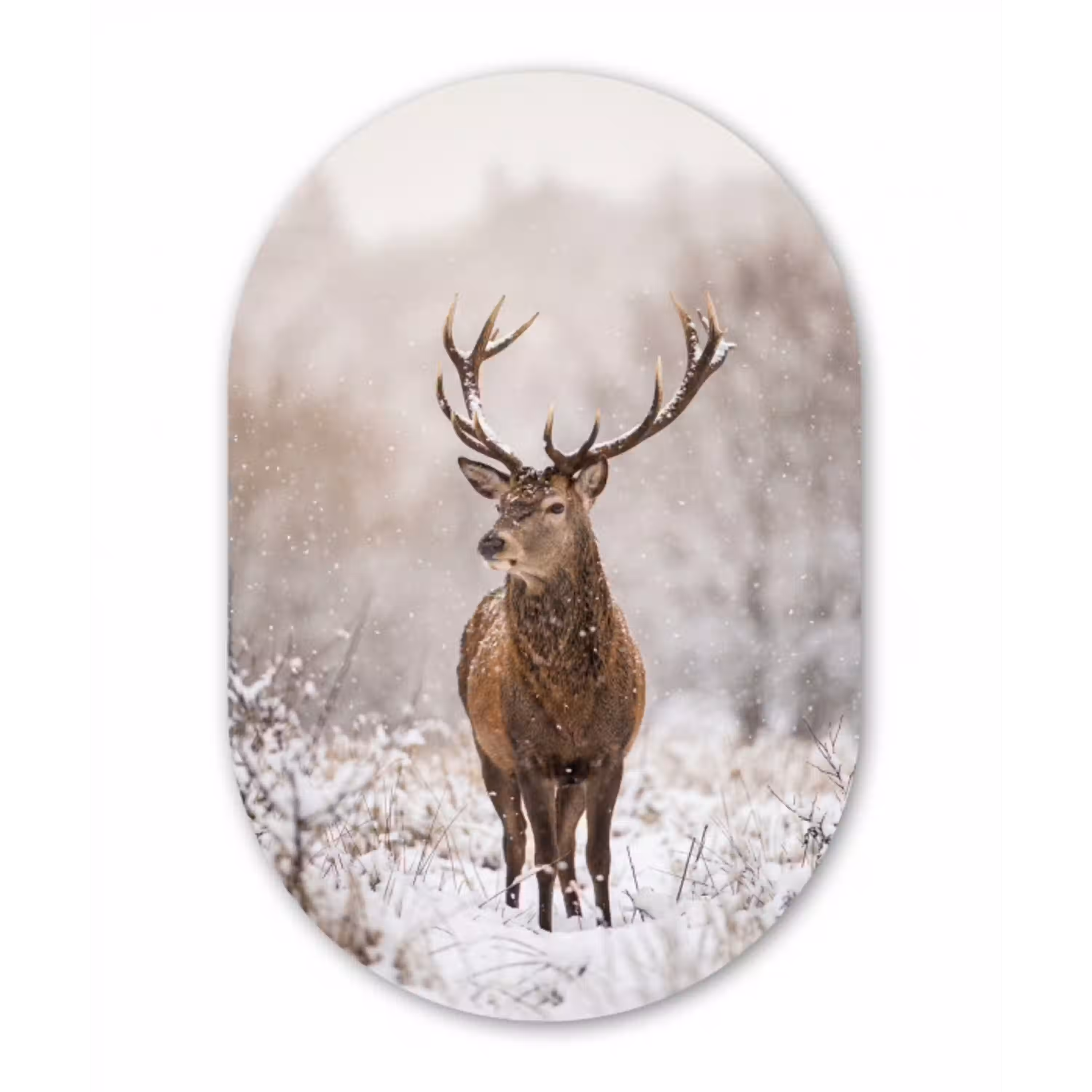 Edelhert - Bos - Sneeuw - Winter - Majestueus Wandcirkel Ovaal Aluminium middel -3d