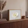 Bloem - Minimalistisch -Wit Light Box met batterij (Wandlamp) middel -sfeer2