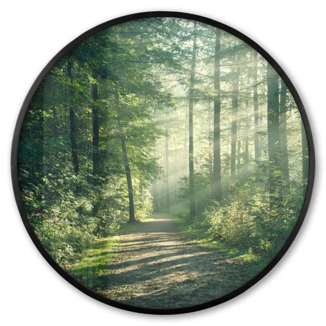 Photo Frame Round - Forest - Path - Sun - Trees - Green - Nature