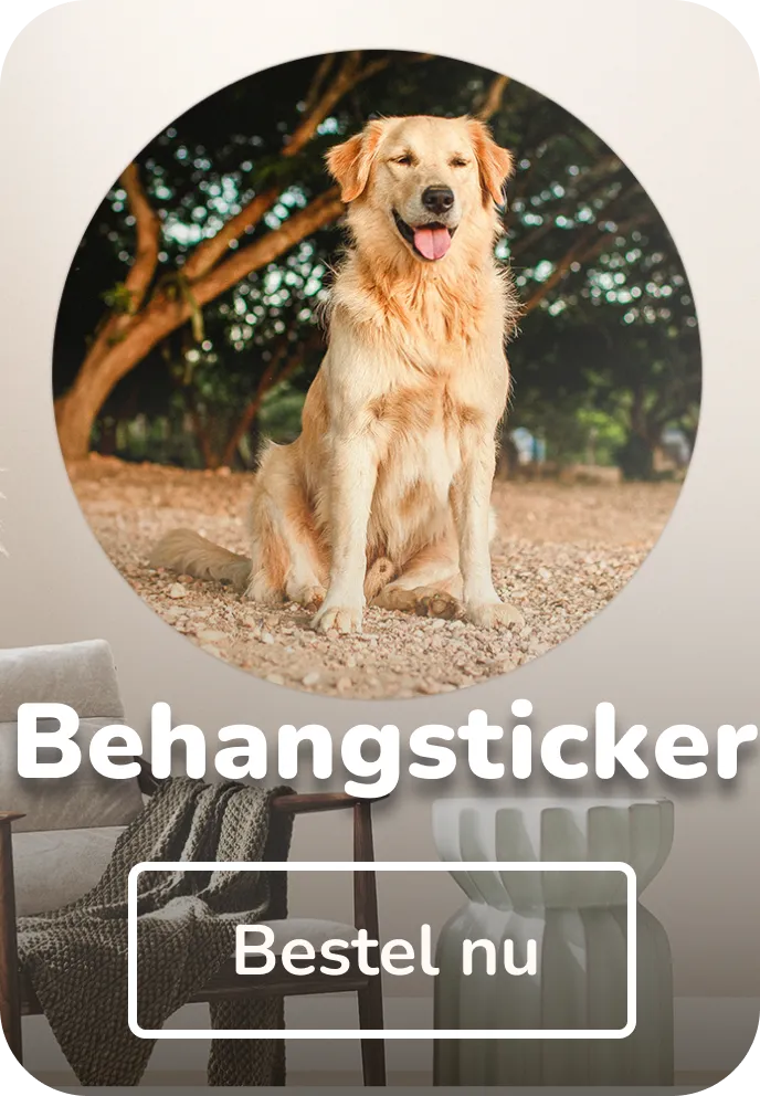 Foto op muurcirkel behangsticker