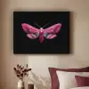 Vlinder - Roze - Nachtvlinder Textielframe zwart klein -sfeer1