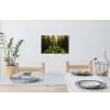 Bomen - Bos - Mos - Planten - Zon Muursticker klein -eettafel