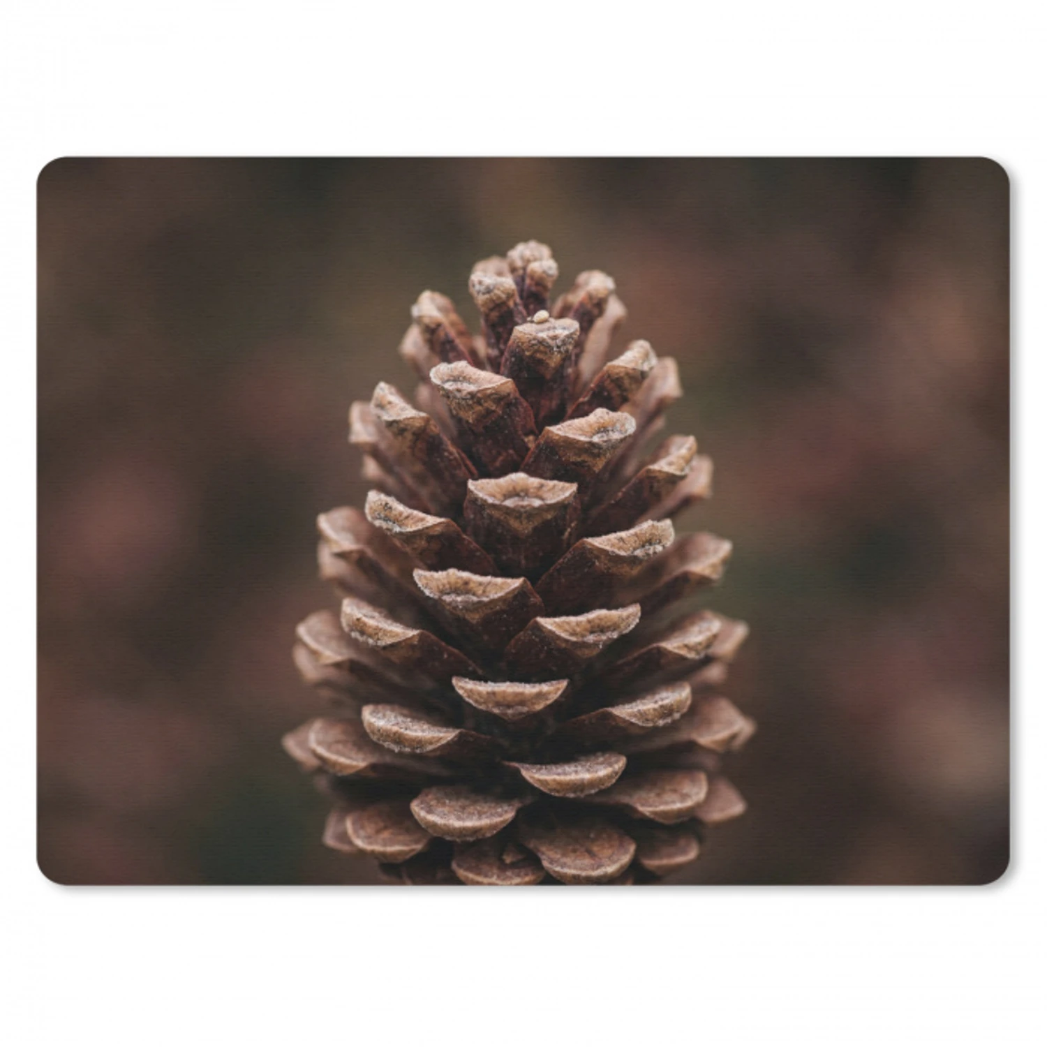 Dennenappel - Bos - Herfst - Bruin - Sfeervol muismat rubber klein -3d