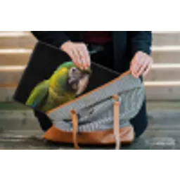 Ara - Portret - Groen laptophoes neopreen klein -tas