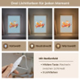 Vos - Vliegtuig - Blauw Light Box met kabel klein -USP_lichtkleurDE