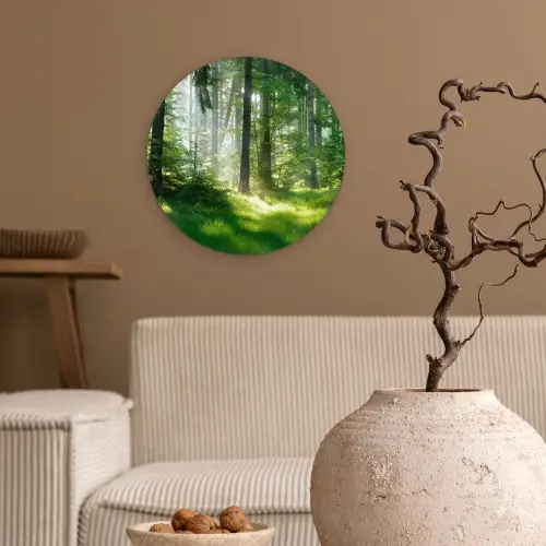 Natuur - Bomen - Bos - Groen - Zon - Gras - Planten Wandcirkel kunststof plaat 5mm dik klein -sfeer1