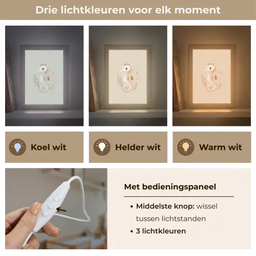 Zeepaardje - Zeewier - Beige Light Box met kabel klein -USP_lichtkleurNL
