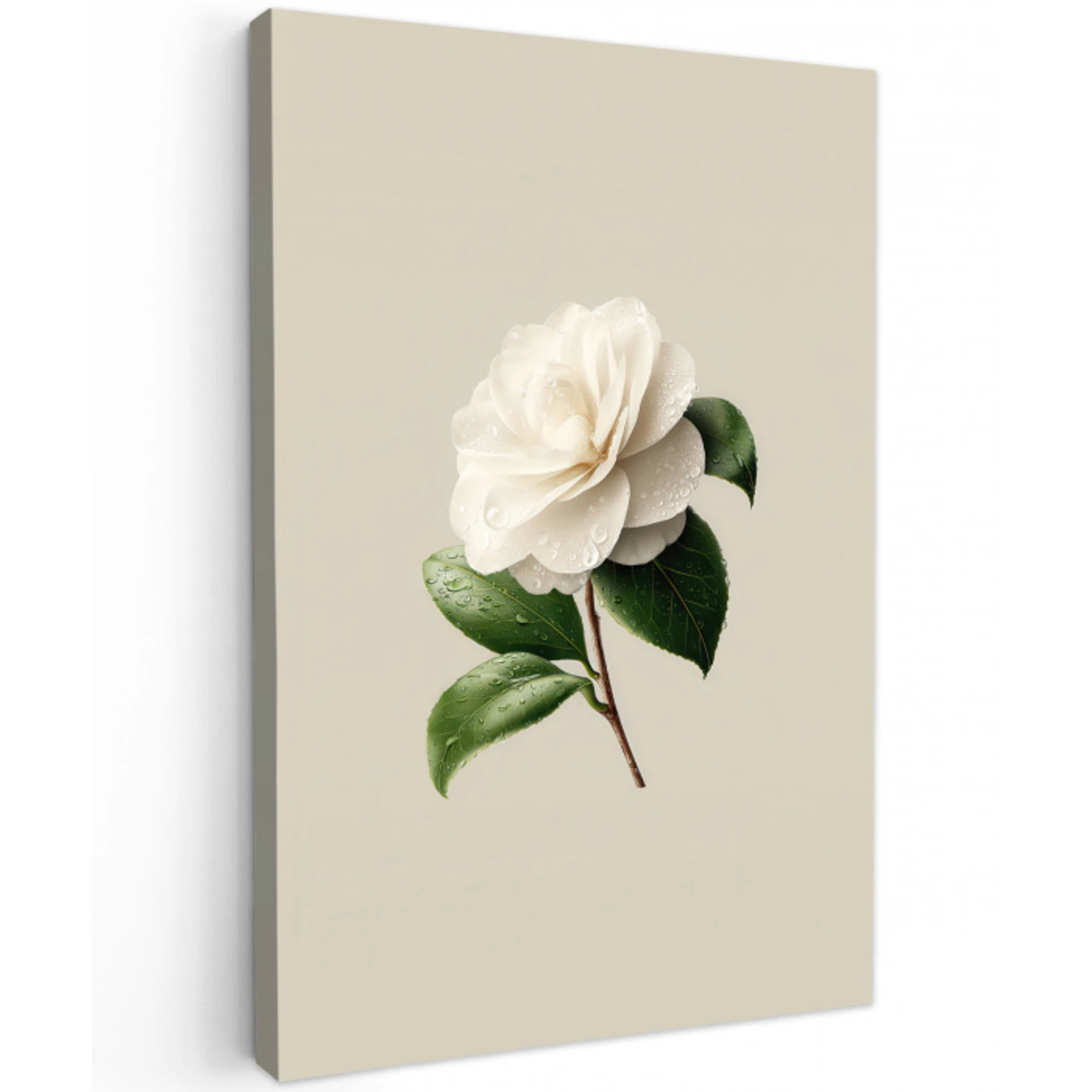 Cameliabloem - Wit - Groen Tuinposter op houten frame 2 cm dik klein -3d