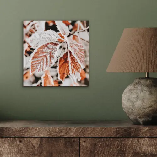 Bladeren - IJs - Winter - Natuur aluminium wit klein -sfeer2