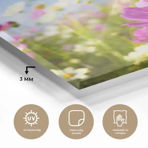 Bloemen - Wei - Paars - Gras - Wit - Wolken - Blauw plexiglas 5mm klein -sfeer2
