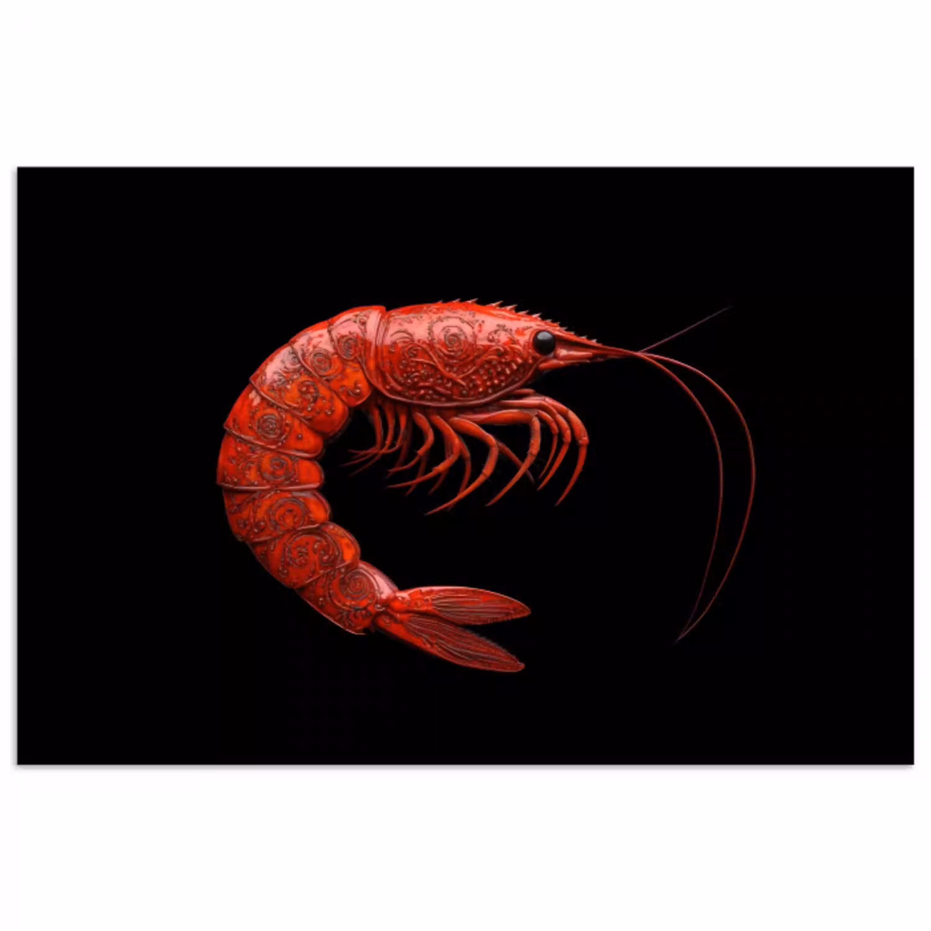 Garnaal - Rood - Dieren poster papier klein -3d