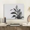 Plant - Bladeren - Minimalistisch - Zwart PET vilt klein -sfeer1