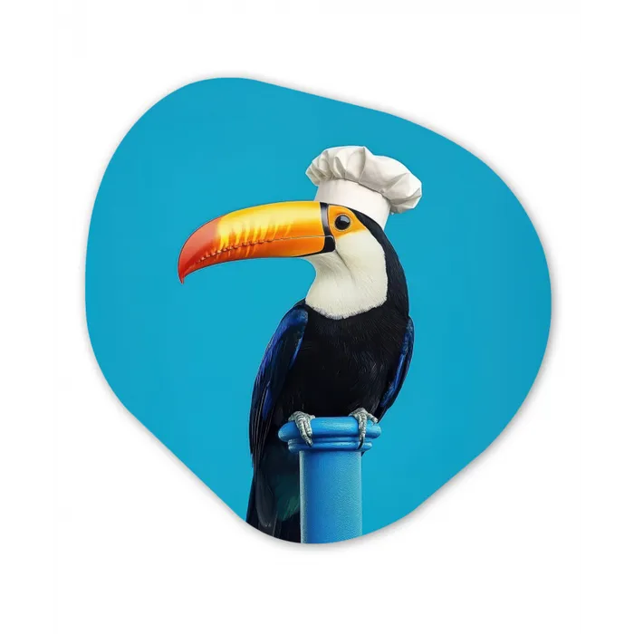 Tucan - Sokkel - Vogel - Koksmuts Wandcirkel Organisch Plexiglas middel -3d