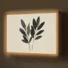 Ovaalvormige bladeren - Diep groen - Symmetrisch Light Box met batterij (Wandlamp) middel -z3d_website