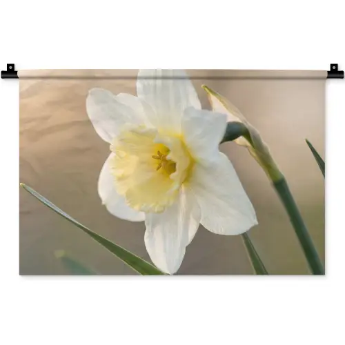 Narcis - Bloem - Minimalistisch Wandkleed katoen klein -zz3d