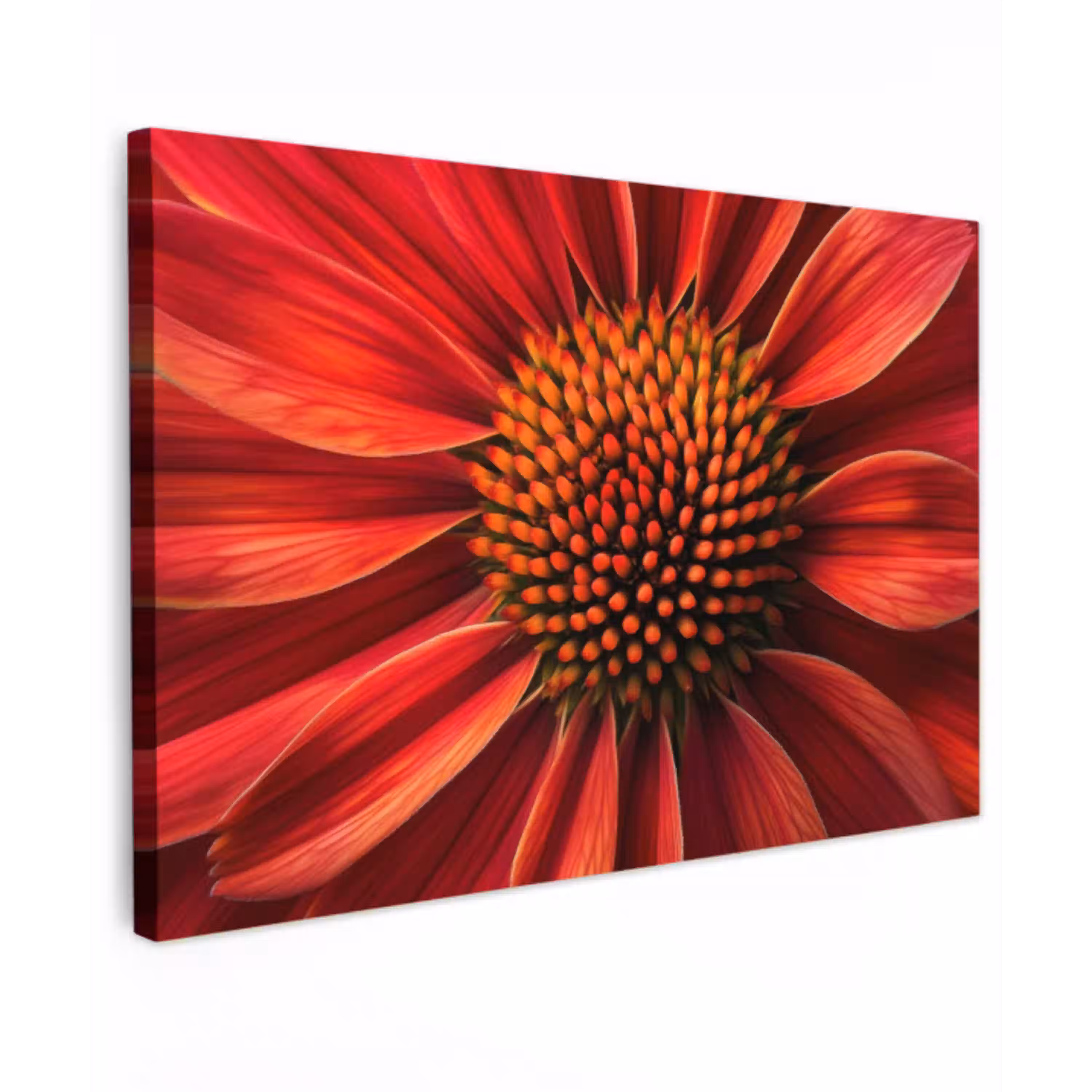 Close up - Bloem- Rood Tuinposter op houten frame 2 cm dik klein -3d