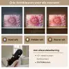 Dahlia - Bloem - Close up - Roze Light Box met batterij (Wandlamp) middel -USP_lichtkleurNL