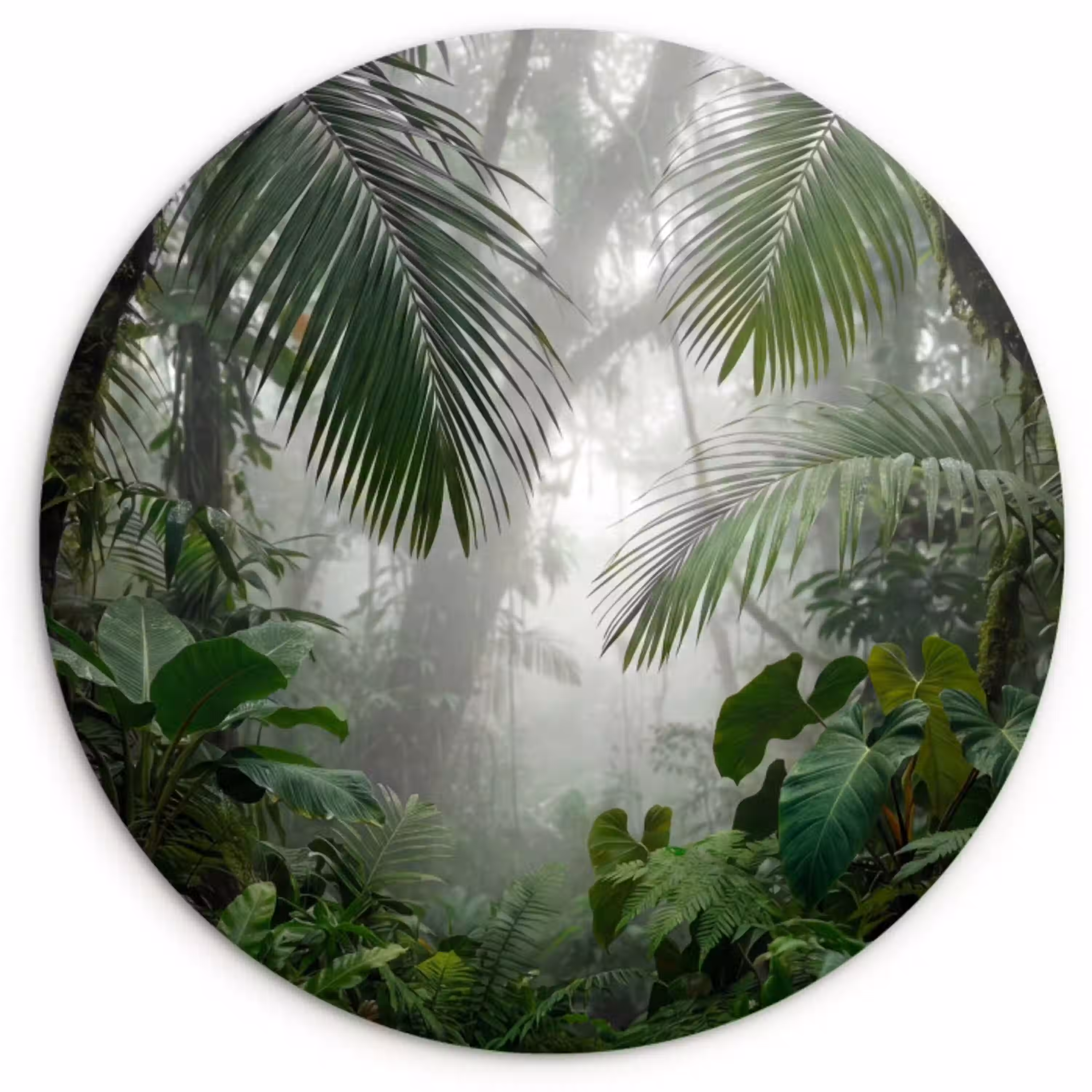Natuur - Jungle - Mist - Tropisch - Groen Wandcirkel kunststof plaat 5mm dik klein -3d