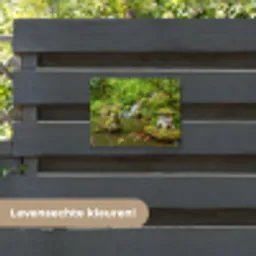 Rustige Japanse vijver tuinposter los doek klein -sfeer3