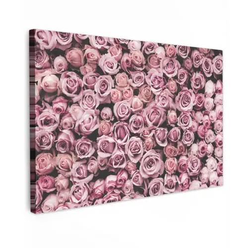 Bloemen - Rozen - Natuur - Roze - Botanisch canvas 2cm klein -z3d
