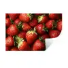 Aardbei - Fruit - Rood Muursticker klein -3d