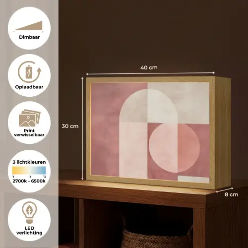 Figuren - Abstract - Roze Light Box met batterij (Wandlamp) middel -USP_websiteoverzichtNL