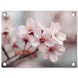 Bloesems - Meeldraden - Geel - Wazig tuinposter los doek klein -3d
