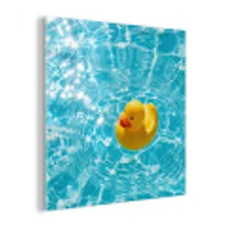 Badeend - Dobberen - Blauw plexiglas 5mm klein -z3d
