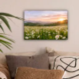 Madelief - Veld - Heuvels - Groen canvas 2cm klein -sfeer1