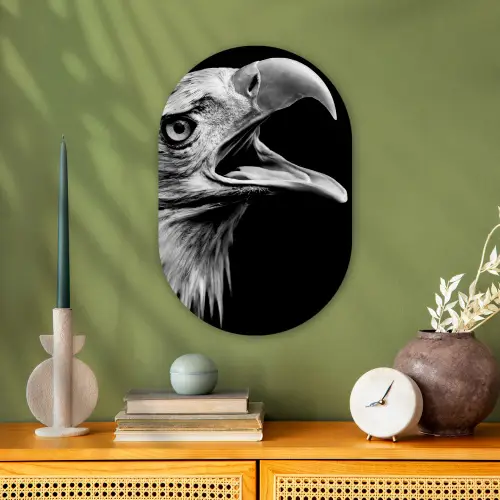 Adelaar - Portret - Roofvogels - Zwart - Wit - Vogel Wandcirkel Ovaal Forex klein -sfeer2