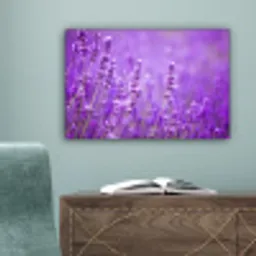 Lavendel - Close-up - Bloemen - Paars canvas 2cm klein -sfeer4