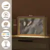 Pampasgras - Pluim - Zwart - Beige Light Box met kabel (Tafellamp) klein -USP_websiteoverzichtNL