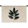 Laurierbladeren - Bloemknoppen - subtiel Wandkleed katoen klein -zz3d