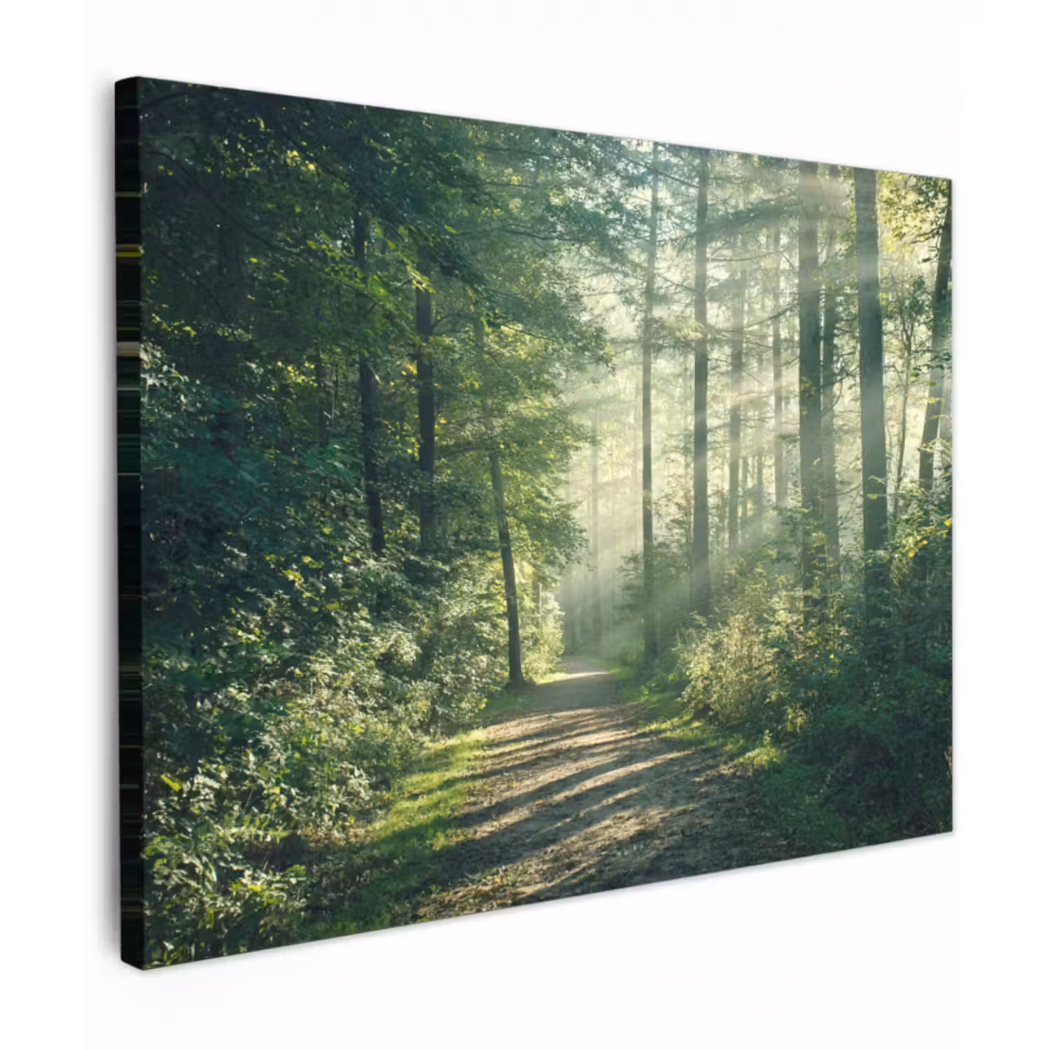 Canvas schilderij - Bos - Pad - Zon - Bomen - Groen - Natuur