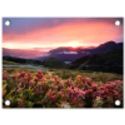Bloemen - Bergen - Landschap - Nacht - Lucht - Roze tuinposter los doek klein -3d