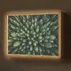 Bomen - Naaldwoud - Structuur Light Box met batterij (Wandlamp) middel -z3d_website