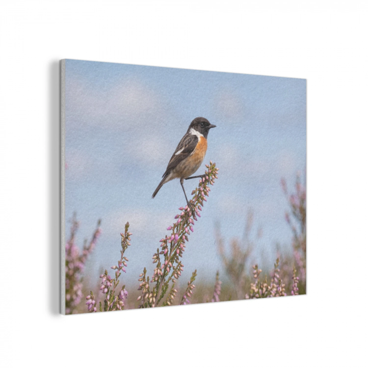 Roodborsttapuit - Heide - Paars - Natuur - Sfeervol PET vilt klein -3d