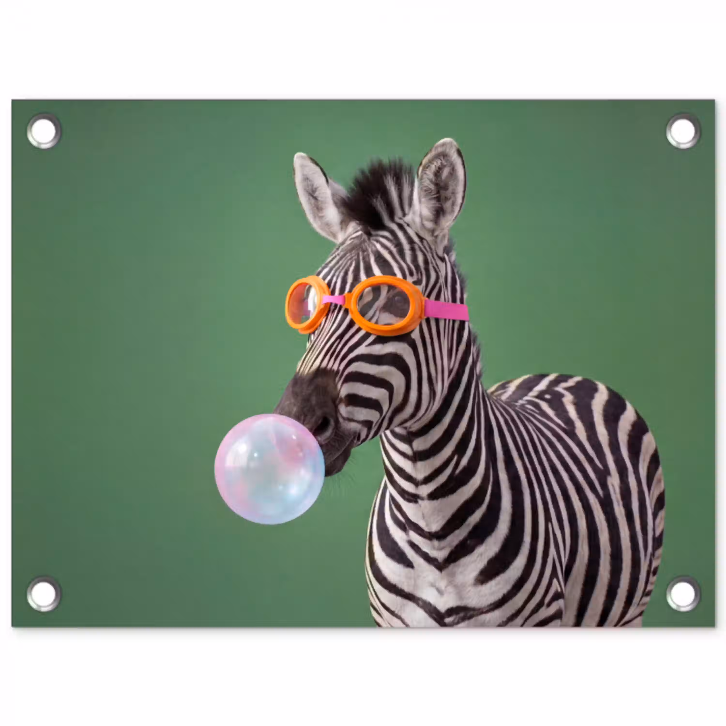 Dier - Bril - Bel - Modern - Groen tuinposter los doek klein -3d
