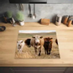Runderen - Kudde - Landschap - Weide - Rustig Inductie beschermer vinyl 3mm middel -sfeer5